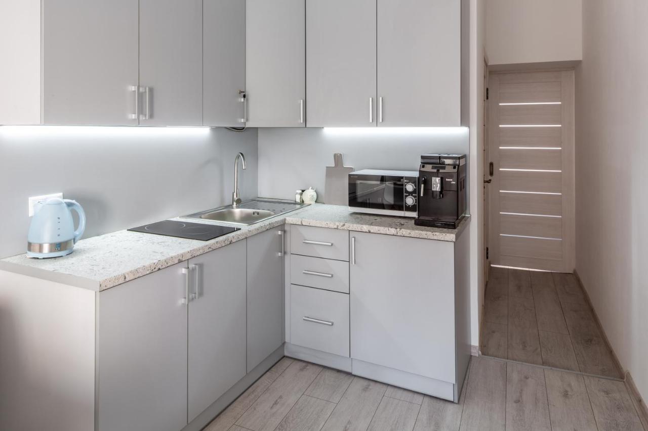 Bookinist Apartment Lviv Kültér fotó